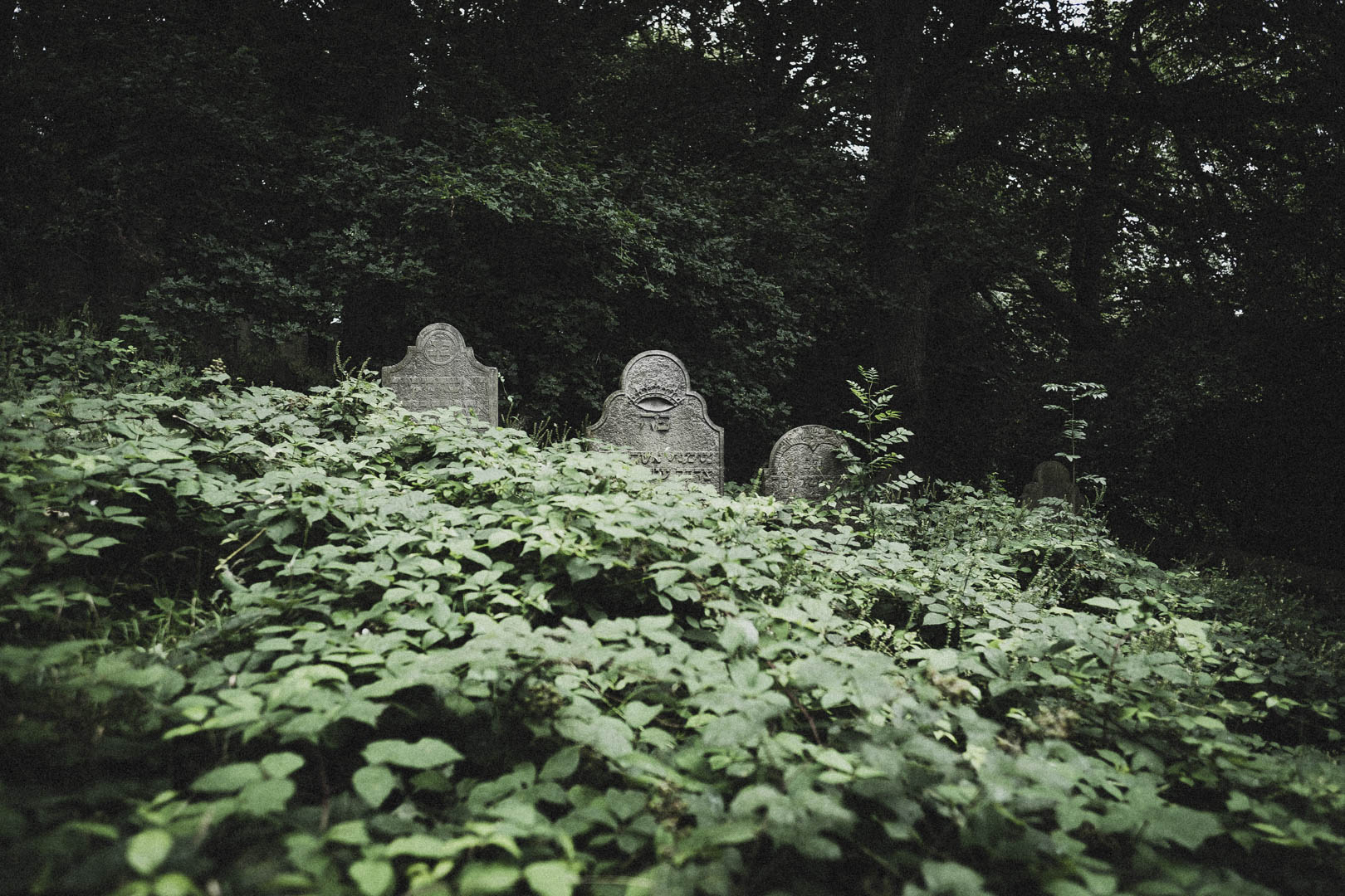 Obernkirchen, Jüdischer Friedhof